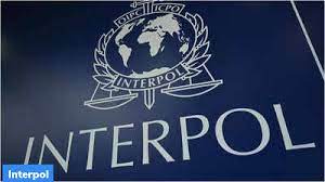 Interpol strengthens Kuwait's defense against terrorism